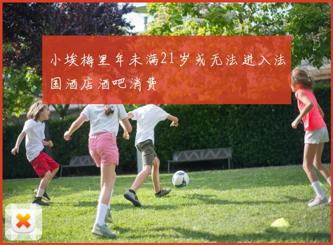 小埃梅里年未满21岁或无法进入法国酒店酒吧消费